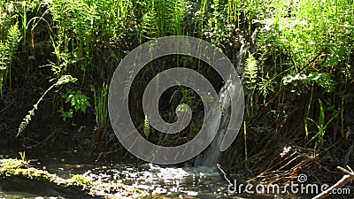 Ein entspannender Schuss eines Bachlaufs entlang der Waldlandschaft mit Sonnenstrahlen durch die Bäume stock footage Ein entspannender Schuss eines Bachlaufs entlang der Waldlandschaft mit Sonnenstrahlen durch die Bäume stock footage