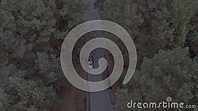 Ein Flug über einem Forest Park, Kiefern, einem Flug über den Treetops und einer Straße, entlang denen ein Schwarzsportauto reite stock video footage Ein Flug über einem Forest Park, Kiefern, einem Flug über den Treetops und einer Straße, entlang denen ein Schwarzsportauto reite stock video footage