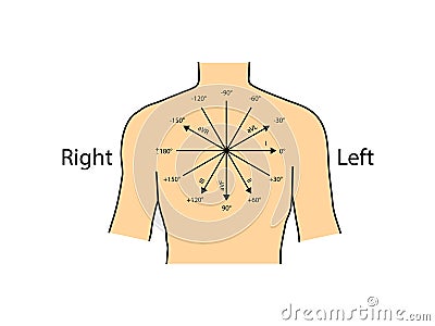 Einthoven ECG triangle, including augmented unipolar limb lead Cartoon Illustration