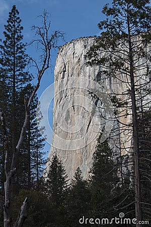 El Capitan Granite Cliff Rises Above Yosemite in California Stock Photo