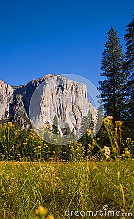 El Capitan, Yosemite National Park Stock Photo