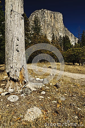 El Capitan in Yosemite National Park Stock Photo