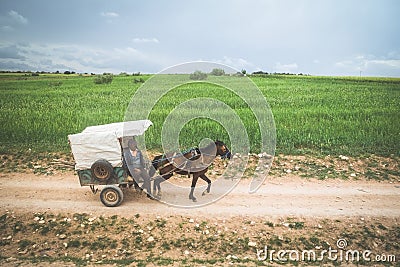 A moroccan man riding old carriage along the unpaved road beside grassland. Editorial Stock Photo