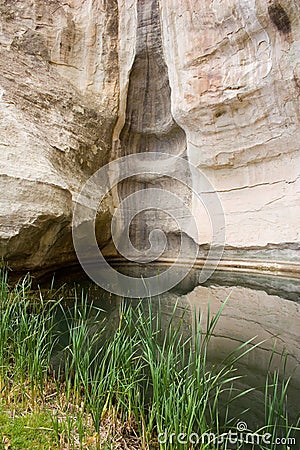 El Morro waterhole Stock Photo