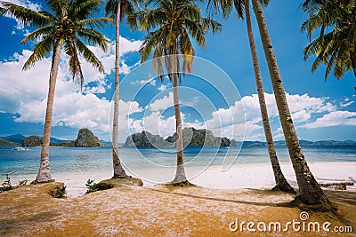 El Nido Beach Paradise: Pinagbuyutan Island with palm trees. Palawan, Philippines Stock Photo