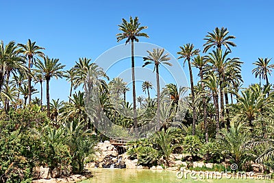 El Palmeral park, Alicante, Spain Stock Photo