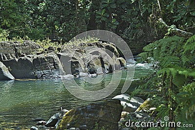 El Yunque creeks, Puerto Rico. Stock Photo