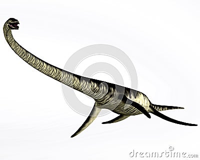 Elasmosaurus Reptile on White Stock Photo
