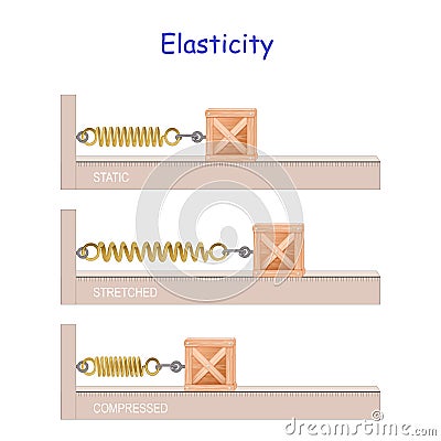 Elastic potential energy. Elasticity. Hooke`s law. potential and kinetic energy Vector Illustration