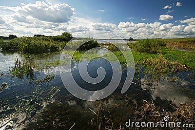 Elbe River Stock Photo