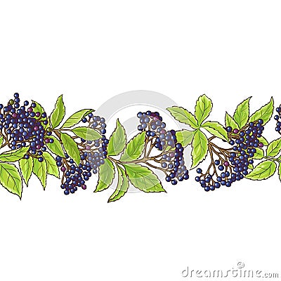 Elderberry branch vector pattern Vector Illustration