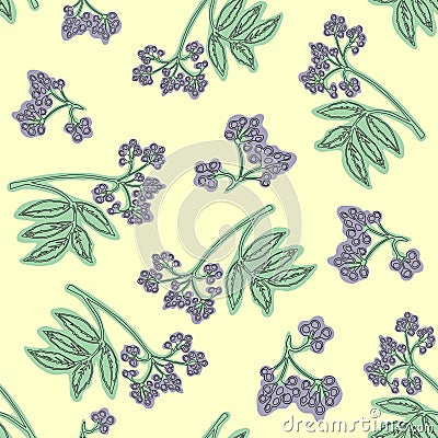 Elderberry seamless pattern. Colorful design for textile, wallpaper, fabric, decor. Stock Photo