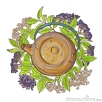 Elderberry tea illustration Vector Illustration