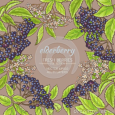 Elderberry vector frame Vector Illustration