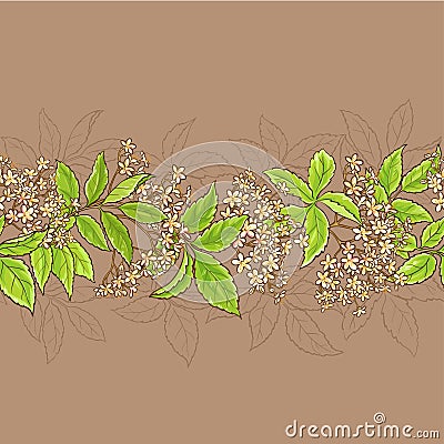 Elderflower vector pattern Vector Illustration