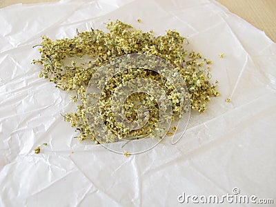 Elderflowers to dry on paper Stock Photo