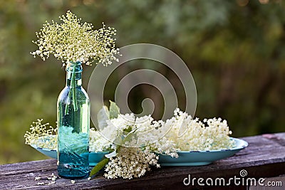 Elderflowers In Turquoise Glas Bottle Stock Photo