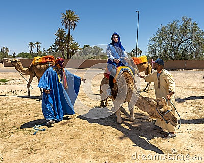 Elderly Caucasian male sitting on the saddle of a camel that is rising after being mounted by the tourist for a ride. Editorial Stock Photo