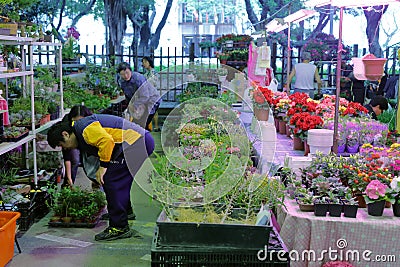 Elderly chose ornamental plant in flower market of taipei city Editorial Stock Photo