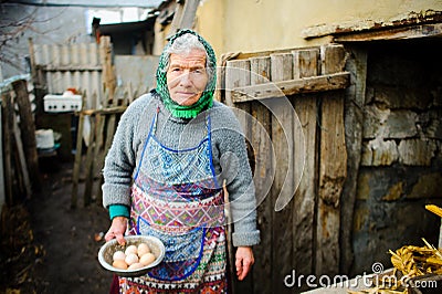 The elderly countrywoman gathers eggs in a hen house. Stock Photo