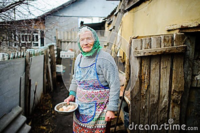 The elderly countrywoman gathers eggs in a hen house. Stock Photo