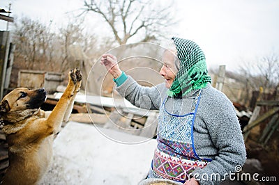 The elderly countrywoman plays with a puppy. Stock Photo