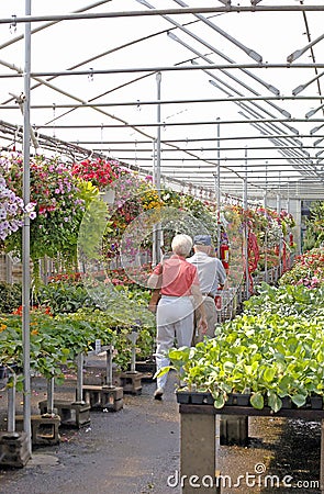 Elderly Couple-Greenhouse Stock Photo