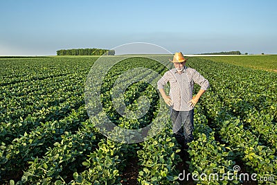 Proud senior farmer standing in soy field surveying land Stock Photo