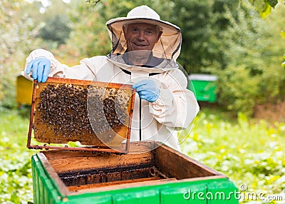 Elderly hiver standing beside hive with hive frame in hands Stock Photo