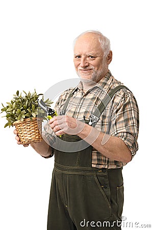 Elderly hobby gardener with clippers Stock Photo