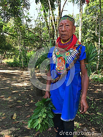 Elderly indigenous shaman of Cofan nationality walking head-on through the jungle in the Amazon Editorial Stock Photo