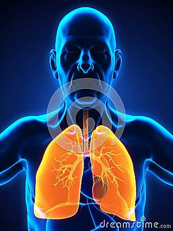Elderly Male Respiratory System Stock Photo