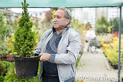 Elderly man buys plants at an open-air market Stock Photo