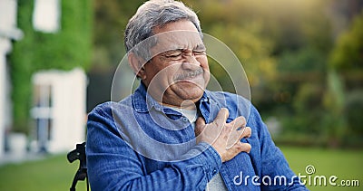 Elderly man, heart attack and emergency in wheelchair in garden, retirement and cardiac arrest in nature. Senior person Stock Photo