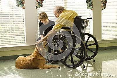 Elderly Man with Woman Petting Dog Stock Photo