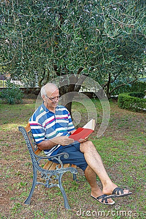 Elderly Pensioner Reading Book Garden Stock Photo