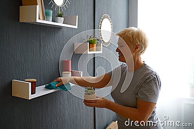 Elderly retires woman wiping dust from shelf Stock Photo