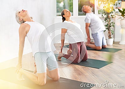 Elderly woman performs camel pose, Ushtrasana to improve mobility of spine and stretch muscles Stock Photo