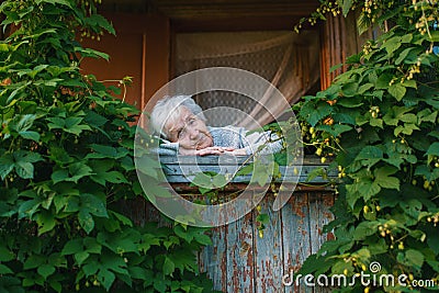 An elderly woman in the veranda among the greenery. Nature. Stock Photo