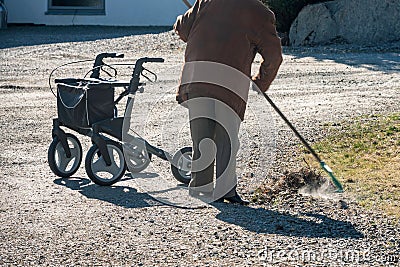 Elderly woman with walker, rakes the lawn and doing gardening work Stock Photo
