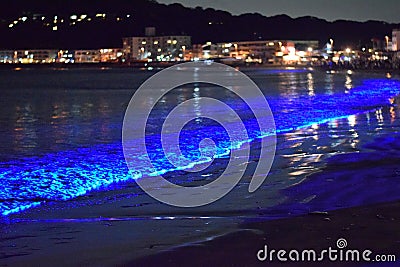 Electric Blue Glow on Pacific Coast Waves or Red Tide Stock Photo