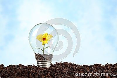 Electric bulb on earth with flower Stock Photo