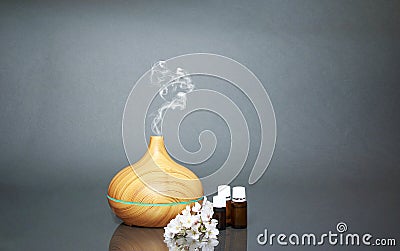 Electric Essential oils Aroma diffuser, oil bottles and flowers Stock Photo