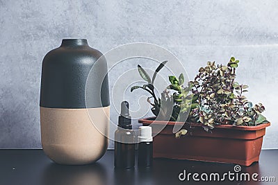 Electric Essential oils Aroma diffuser, oil bottles and flowers on wooden table, space for text Stock Photo