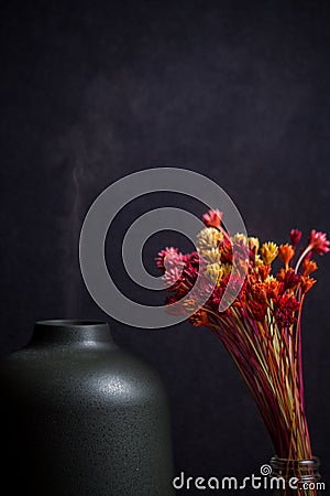 Electric Essential oils Aroma diffuser, oil bottles and flowers on wooden table, space for text Stock Photo