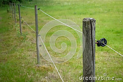 Electric fence around farm / horse paddock Stock Photo