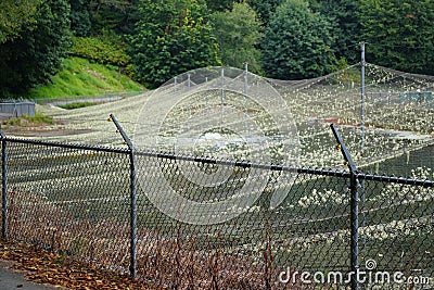 Electric fence provides security to lichen covered nets over fish rearing pond Stock Photo
