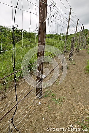 Electric fence of Siyakwemukela Hluhluwe Umfolozi Game Reserve, South Africa Stock Photo