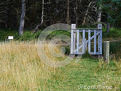 Electric fenced area and cattle gate farm animals Stock Photo