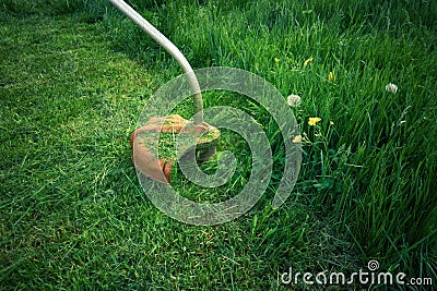 Electric grass cutter trimming the lawn Stock Photo